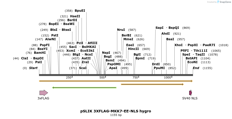 171311_map