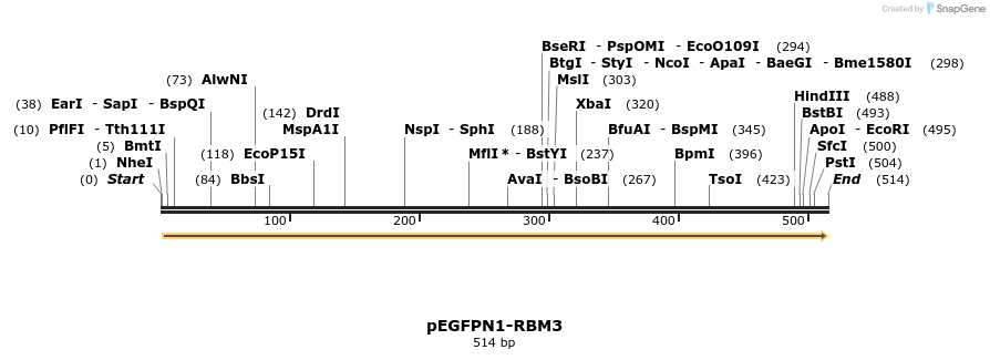 171312_map