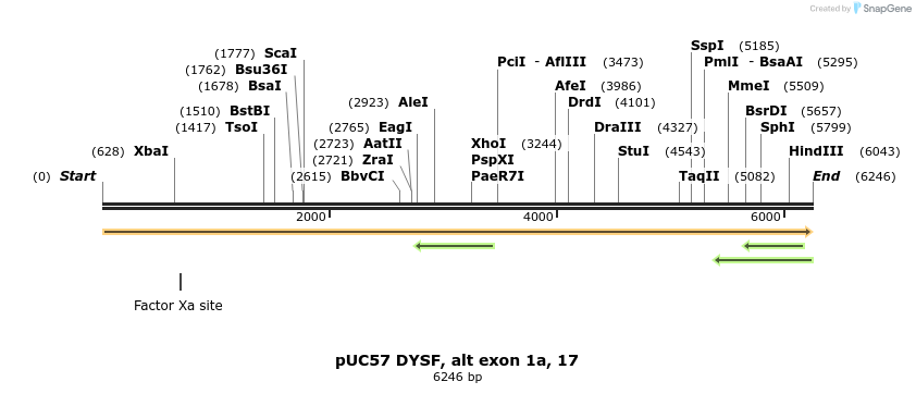 171344_map