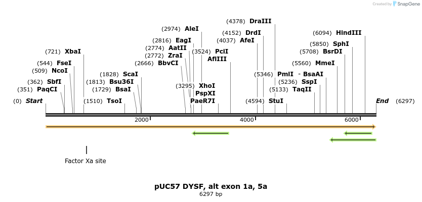 171347_map