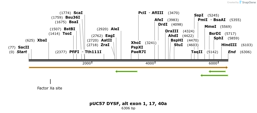 171354_map