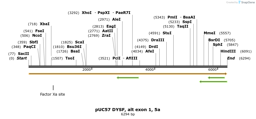 171356_map