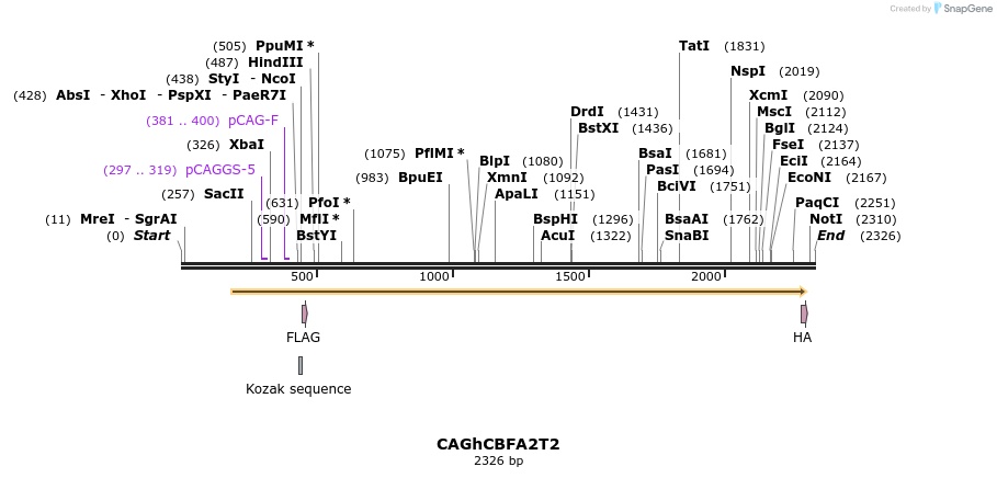 171360_map