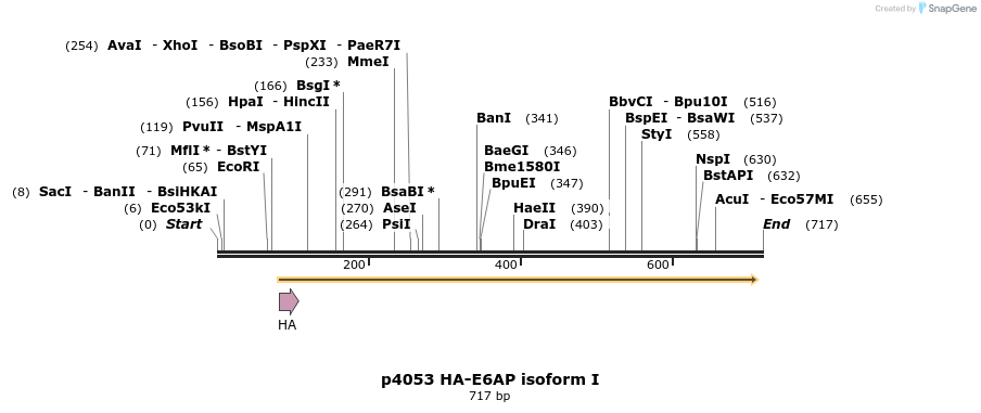 17138_map