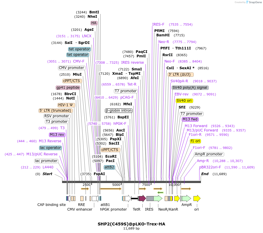 171382_map