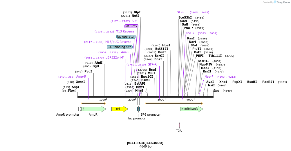 171407_map