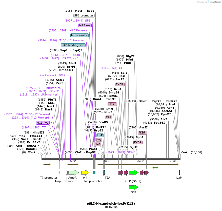 171408_map
