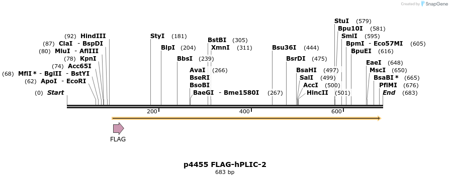17142_map