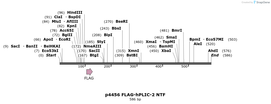 17143_map