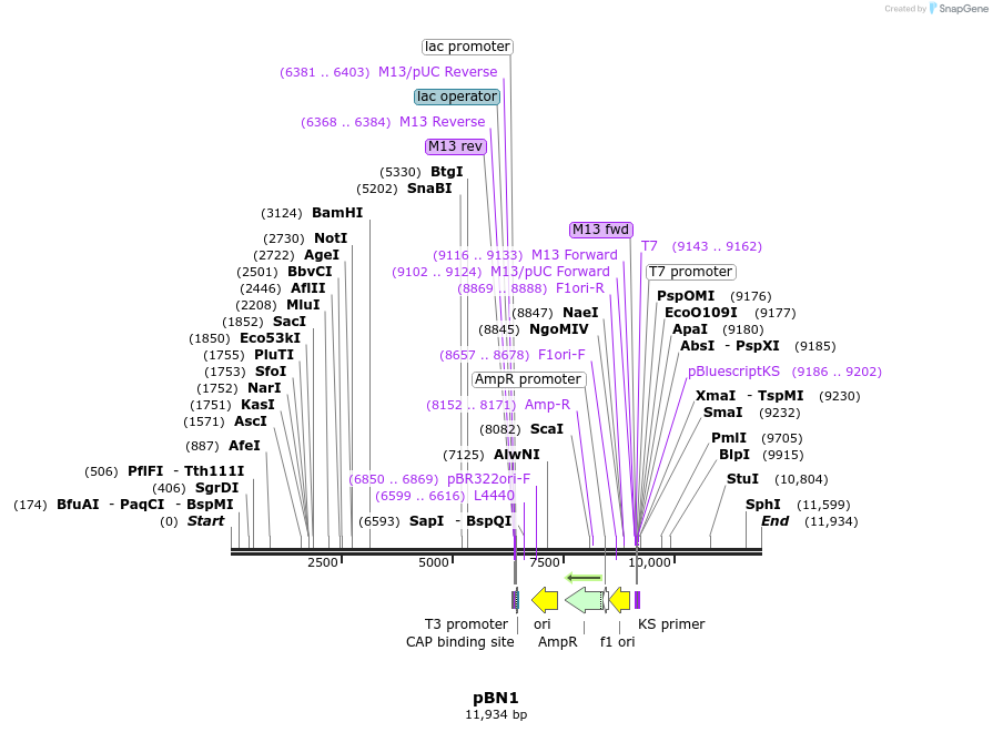 171509_map