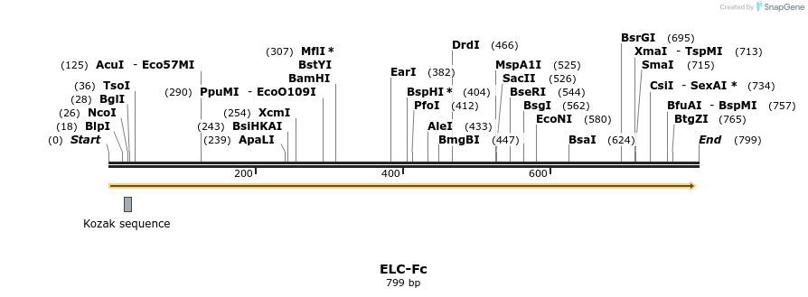 17152_map