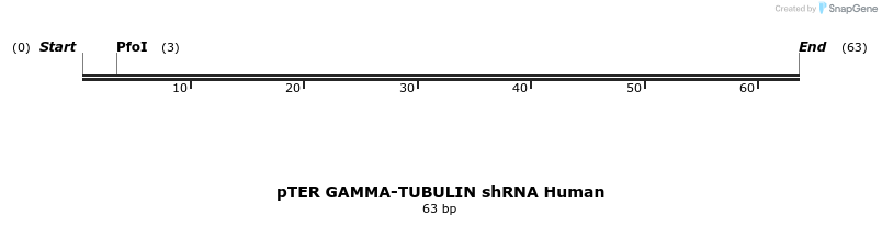 171546_map