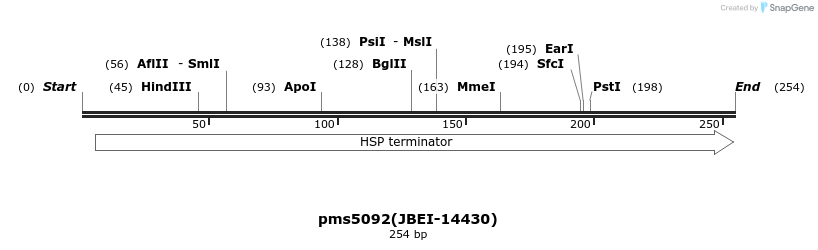171558_map