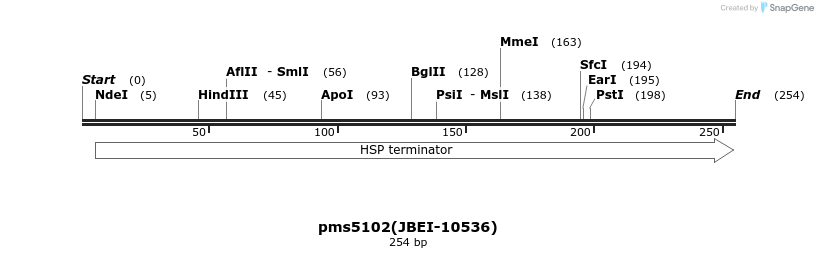 171559_map