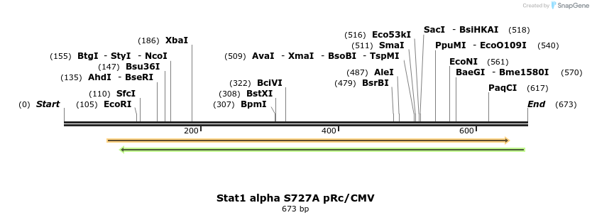 17159_map