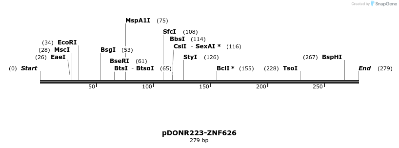 171606_map
