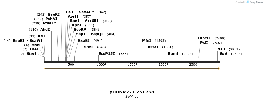 171616_map