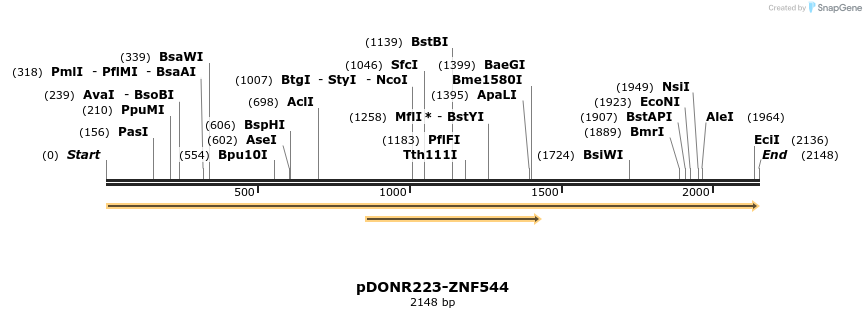 171633_map