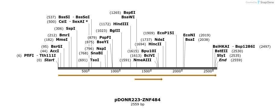 171651_map