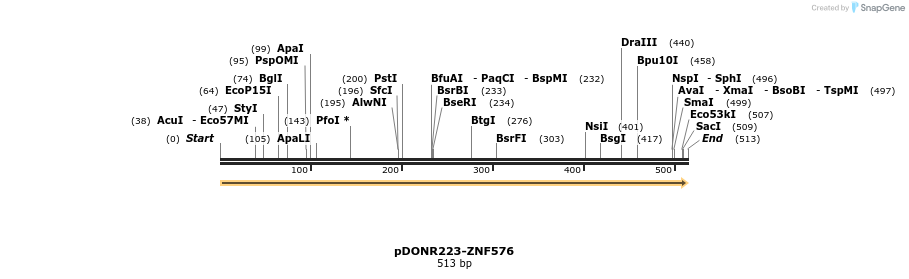 171678_map