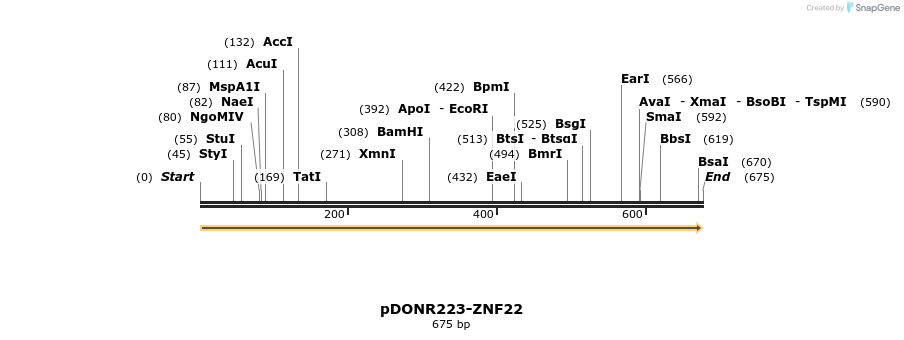 171706_map