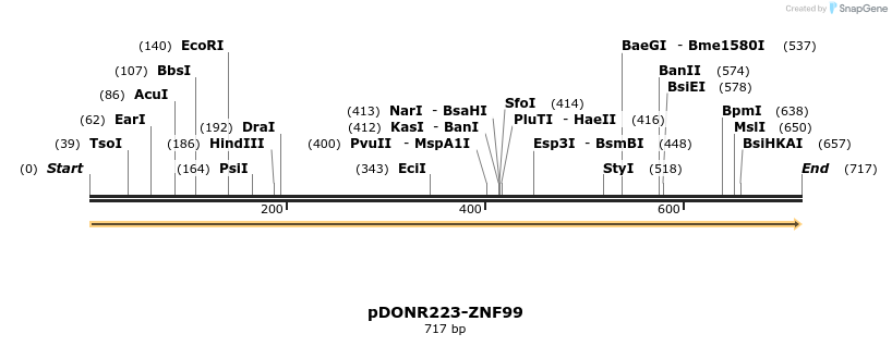171731_map