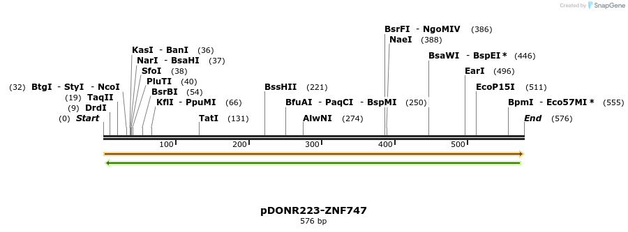 171738_map
