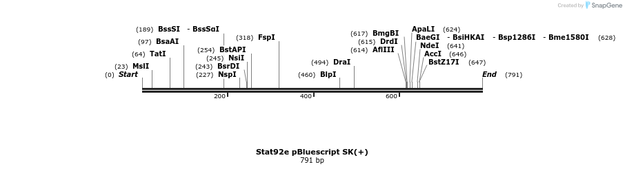 17174_map