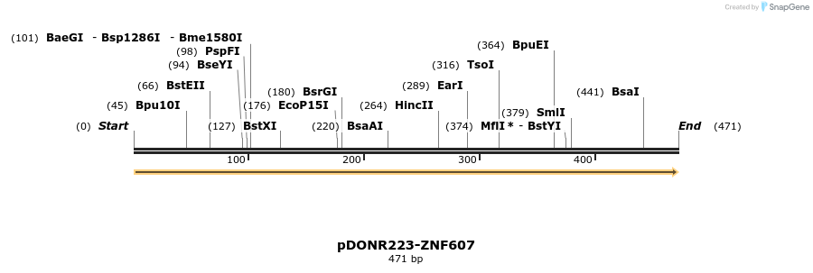 171748_map