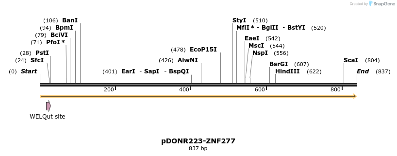 171778_map