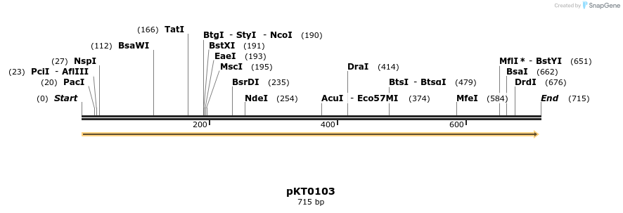 17179_map
