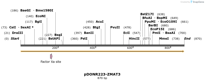 171796_map