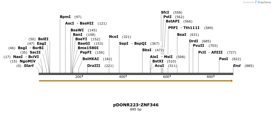 171797_map