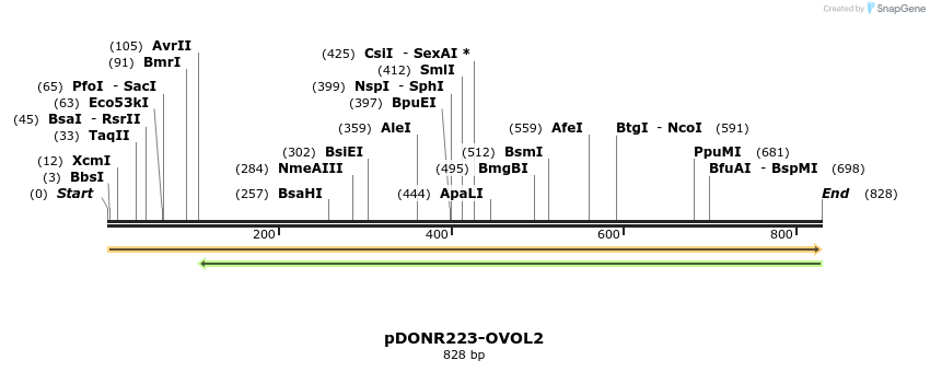 171807_map