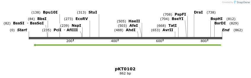 17182_map