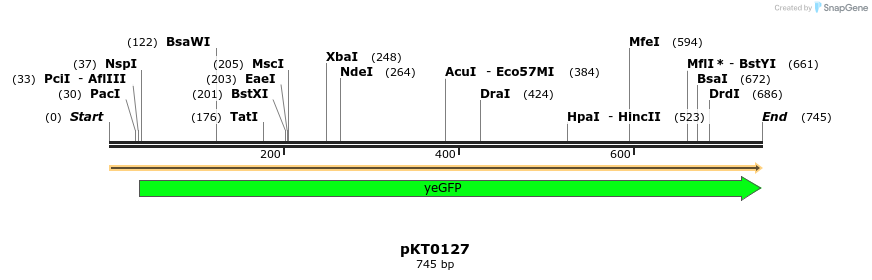 17188_map