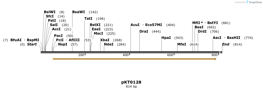 17189_map