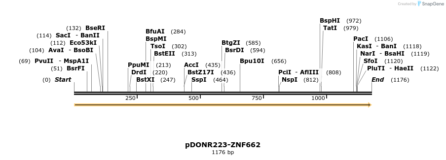 171894_map