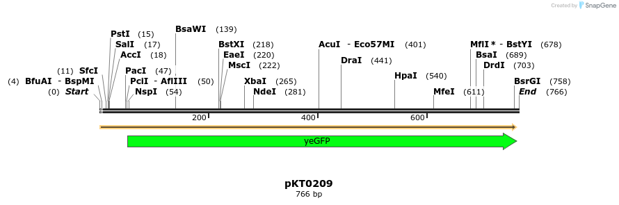 17190_map