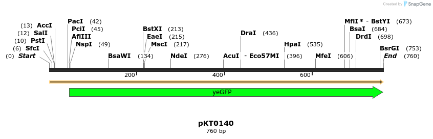 17191_map