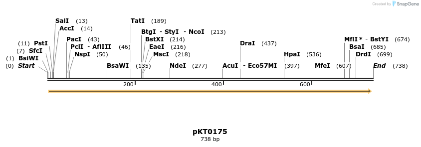 17192_map