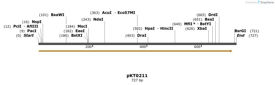 17193_map