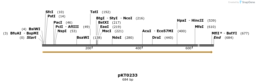 17194_map