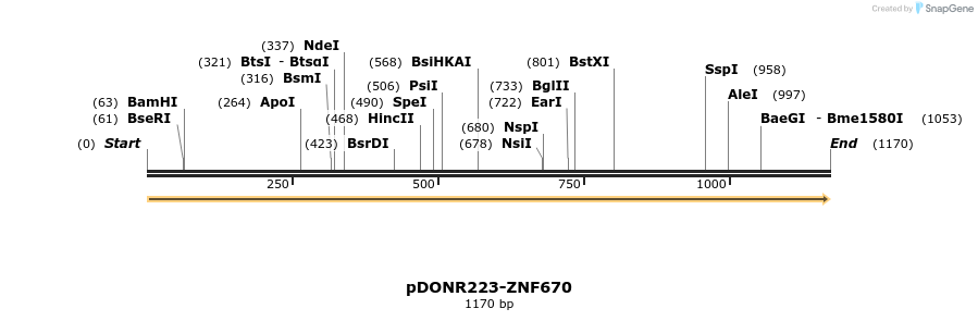 171941_map