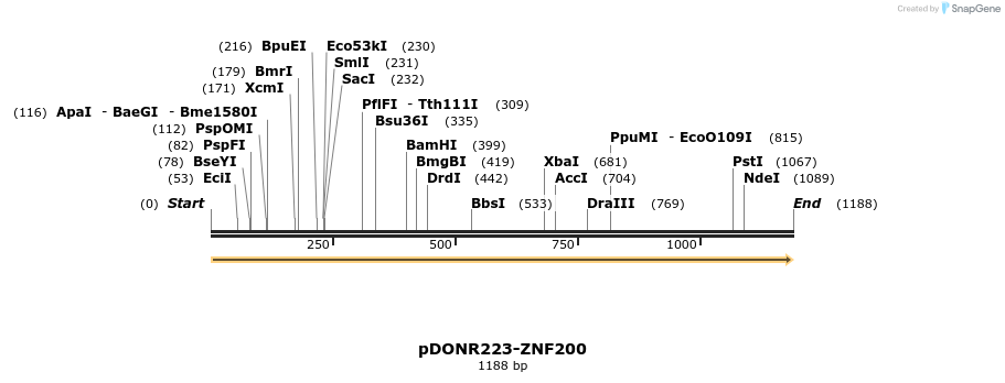 171953_map