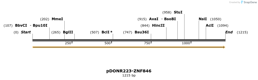 171959_map