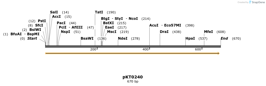 17196_map