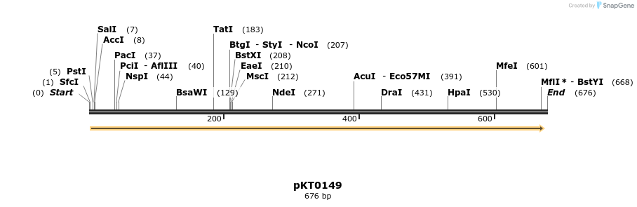 17197_map
