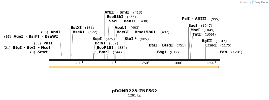 171971_map