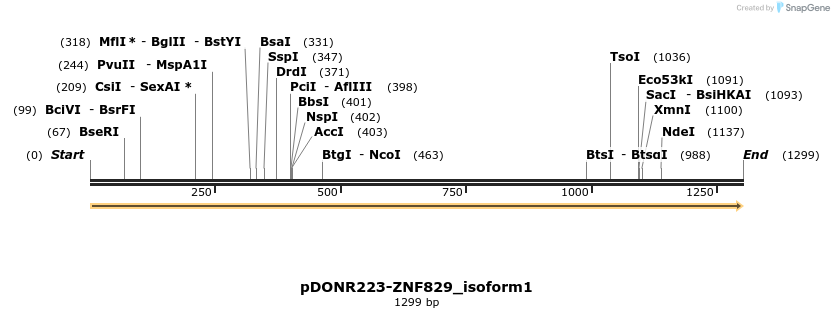 171972_map